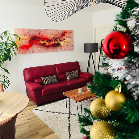 Appartement Cosy Et Lumineux Avec Parking Gratuit كولمار المظهر الخارجي الصورة