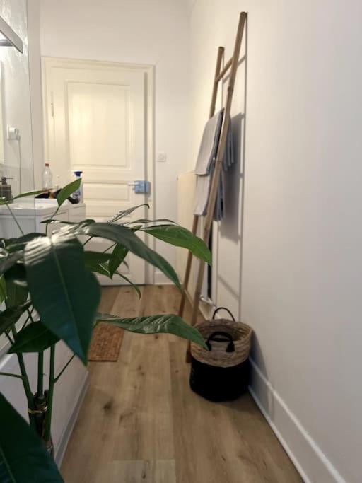Appartement Cosy Et Lumineux Avec Parking Gratuit كولمار المظهر الخارجي الصورة