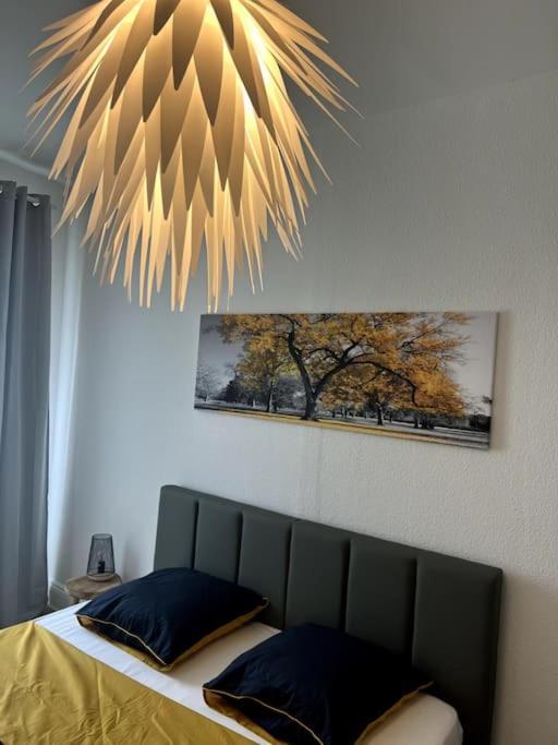 Appartement Cosy Et Lumineux Avec Parking Gratuit كولمار المظهر الخارجي الصورة